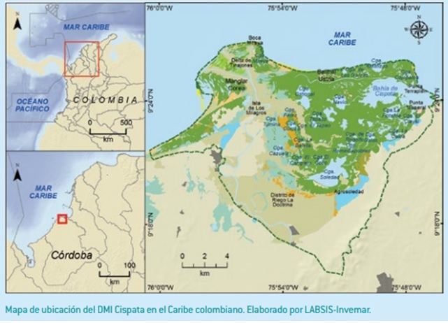 Uno de los lugares más representativos de manglar en el Caribe colombiano se ubica en el golfo de Morrosquillo, en Córdoba.