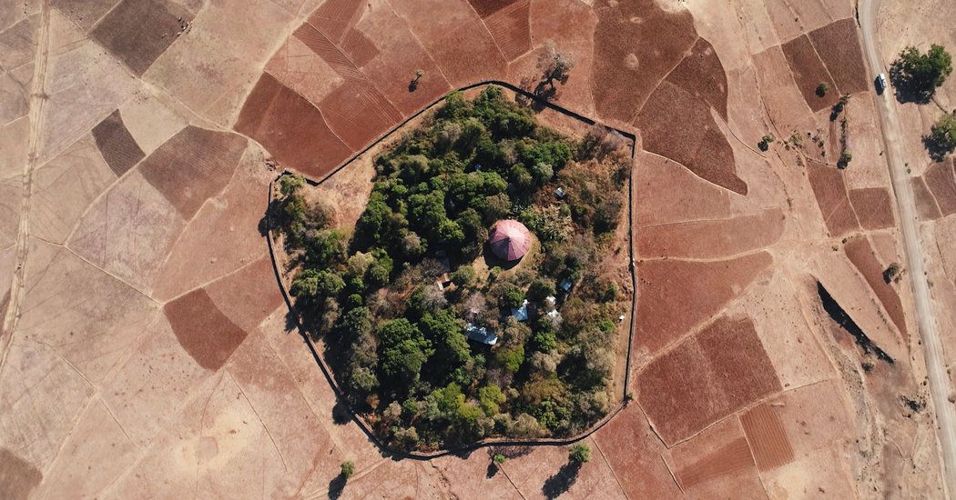 Dr. David L. Katz tweet media