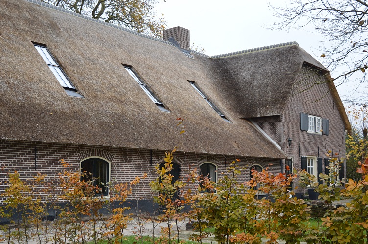 Tom van der Dussen tweet media