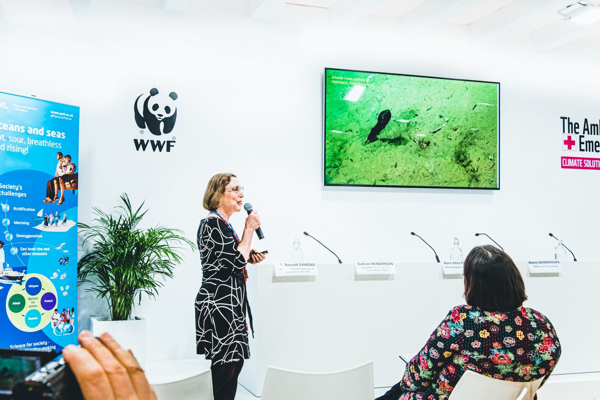 jackpaninfo's tweet photo. Professor Lisa Levin @LlevinAnn spoke at the #WWF @WWF pavilion at #COP25 @COP25CL about #deepsea #biodiversity &amp; #conservation.

#Ocean #Science #COP25Madrid #COP25CL #ClimateChange #Climate #BlueCOP  
@UN @UNFCCC @Scripps_Ocean @UCSanDiego @UCatCOP https://t.co/BY16RAHvIj