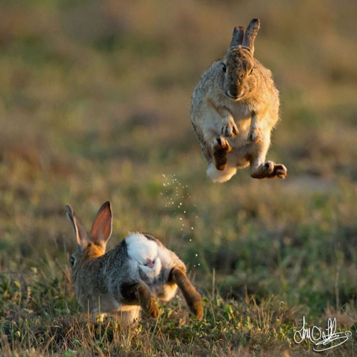Shift2Lean's tweet photo. Leap above the Competition with a #BrilliantSystem for #LeanConstruction  https://t.co/l5pkIOZC1F https://t.co/Vah82k0Sh5