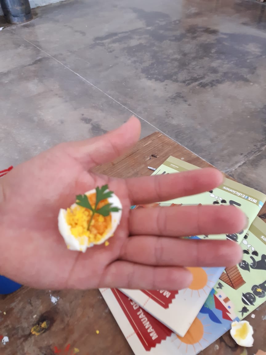 Adultosalta's tweet photo. Instituciones de contexto de privación de la libertad realizaron una exposición del proyecto llevado adelante con el INTA, en el que hubo fotos de los trabajos realizados en la huerta. También hubo un taller de alimentación. Felicitaciones al tutor Sebastián Gómez y a los jóvenes https://t.co/iTd0eRzTqH