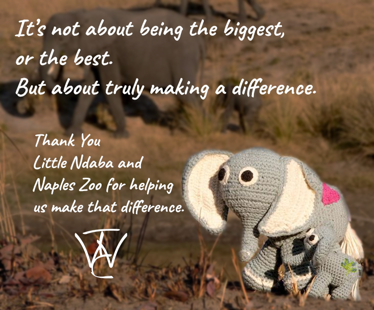 wildlifetrad's tweet photo. We are humbled by our win of the Judges Award as part of the IAAPA Brass Ring Awards, and want to thank our partners Naples Zoo and Little Ndaba for helping us with our quest in making sustainable retail a reality.
#sustainableretail  #littlendaba  #napleszoo https://t.co/RYMyX2CDHL