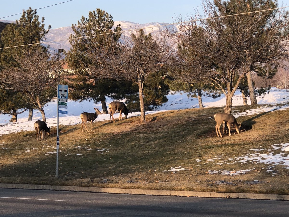 Debby Rogers tweet media