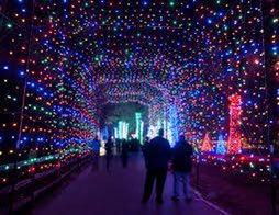 gzkte's tweet photo. i wanna go see the zoo lights🥺 https://t.co/uDC32u1n3O