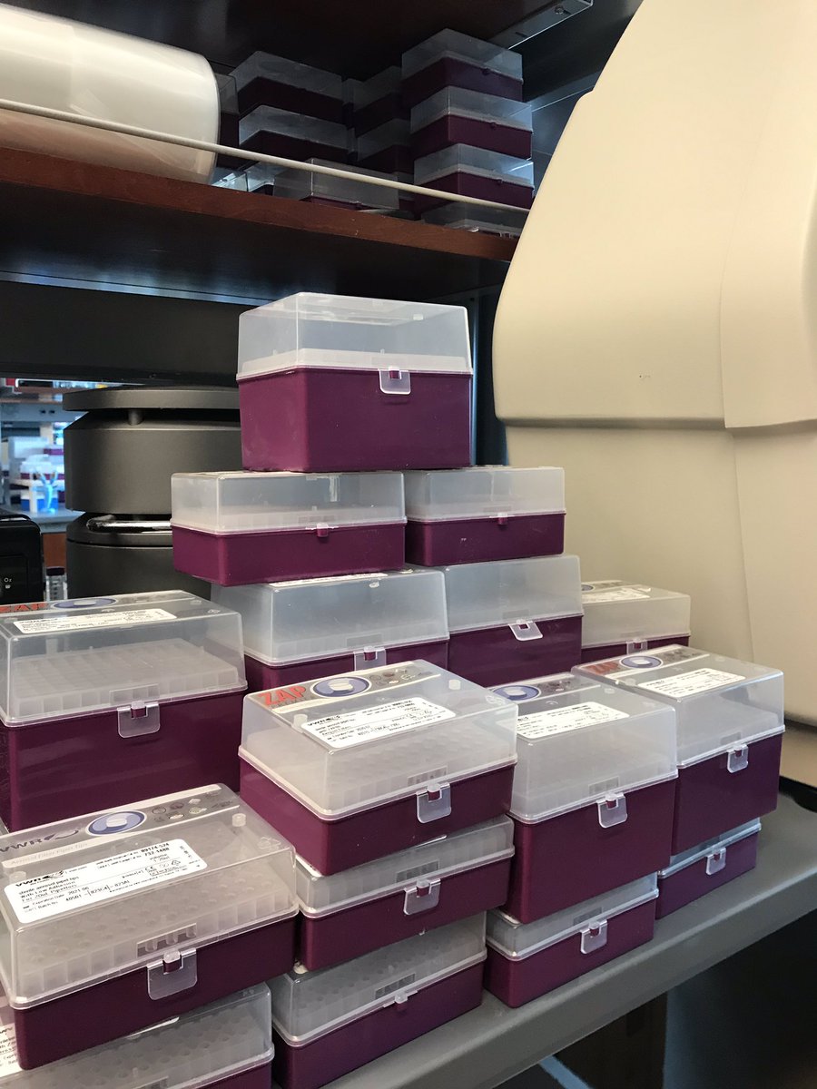 fuchs_lab's tweet photo. What to do when you have too many tip boxes right around the holidays? Make an advent calendar out of them!! Stop by in December for a holiday treat! 🎄🍬 @VWR https://t.co/8lXlRsVmUU