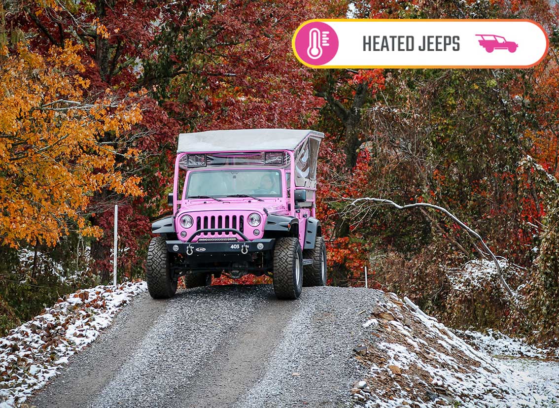 Pink Jeep Tours tweet media
