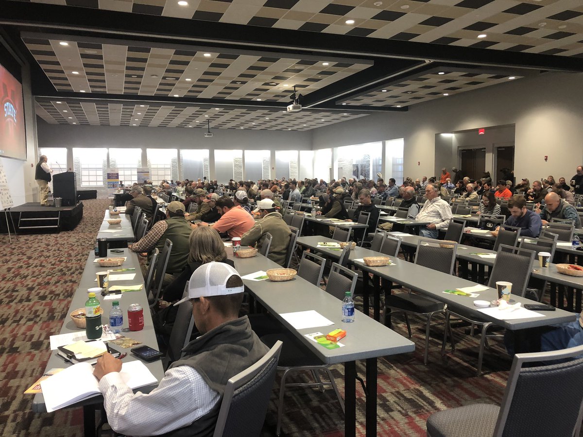 Darrin Dodds tweet media