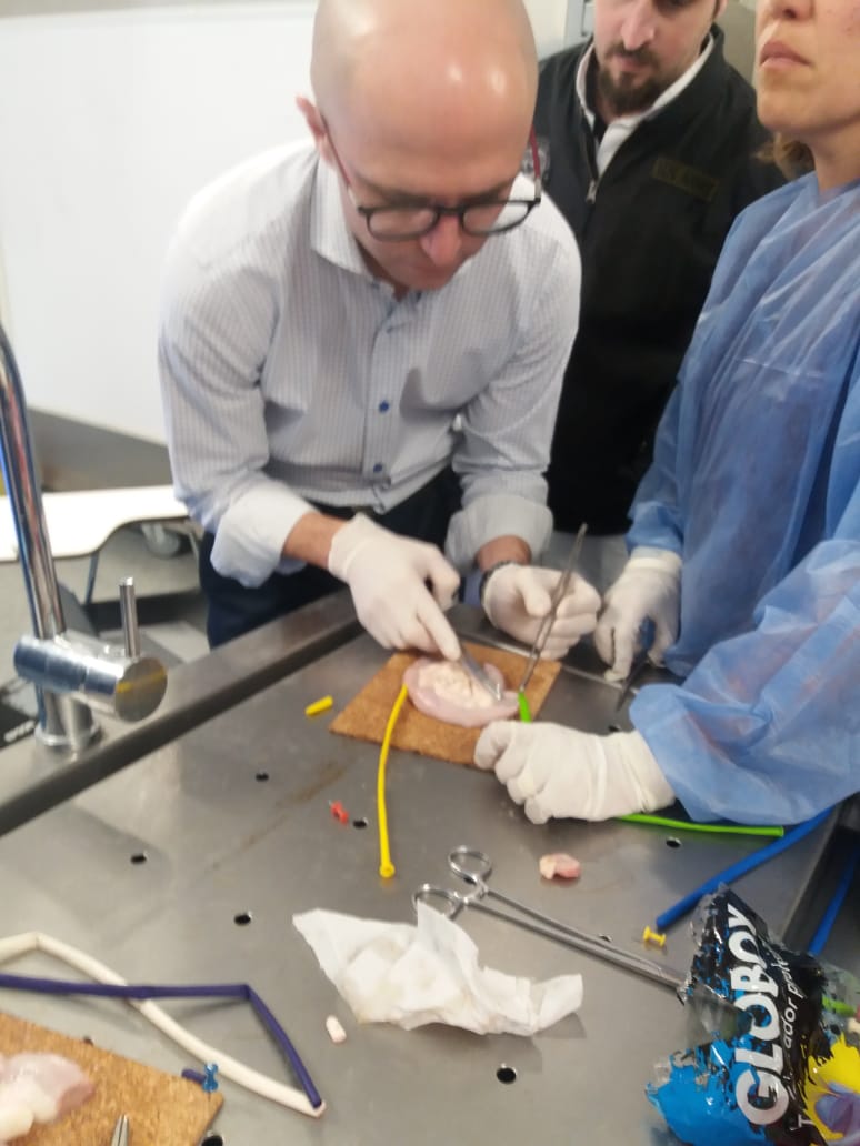 frias_EN's tweet photo. Curso "manejo de intestino delgado por residentes de urologia". Gran convocatoria!!! @FernandoSantom2 @hpcmdp @DrAGonzalez21 @ResidentesCAU https://t.co/VwSqaqNjn5