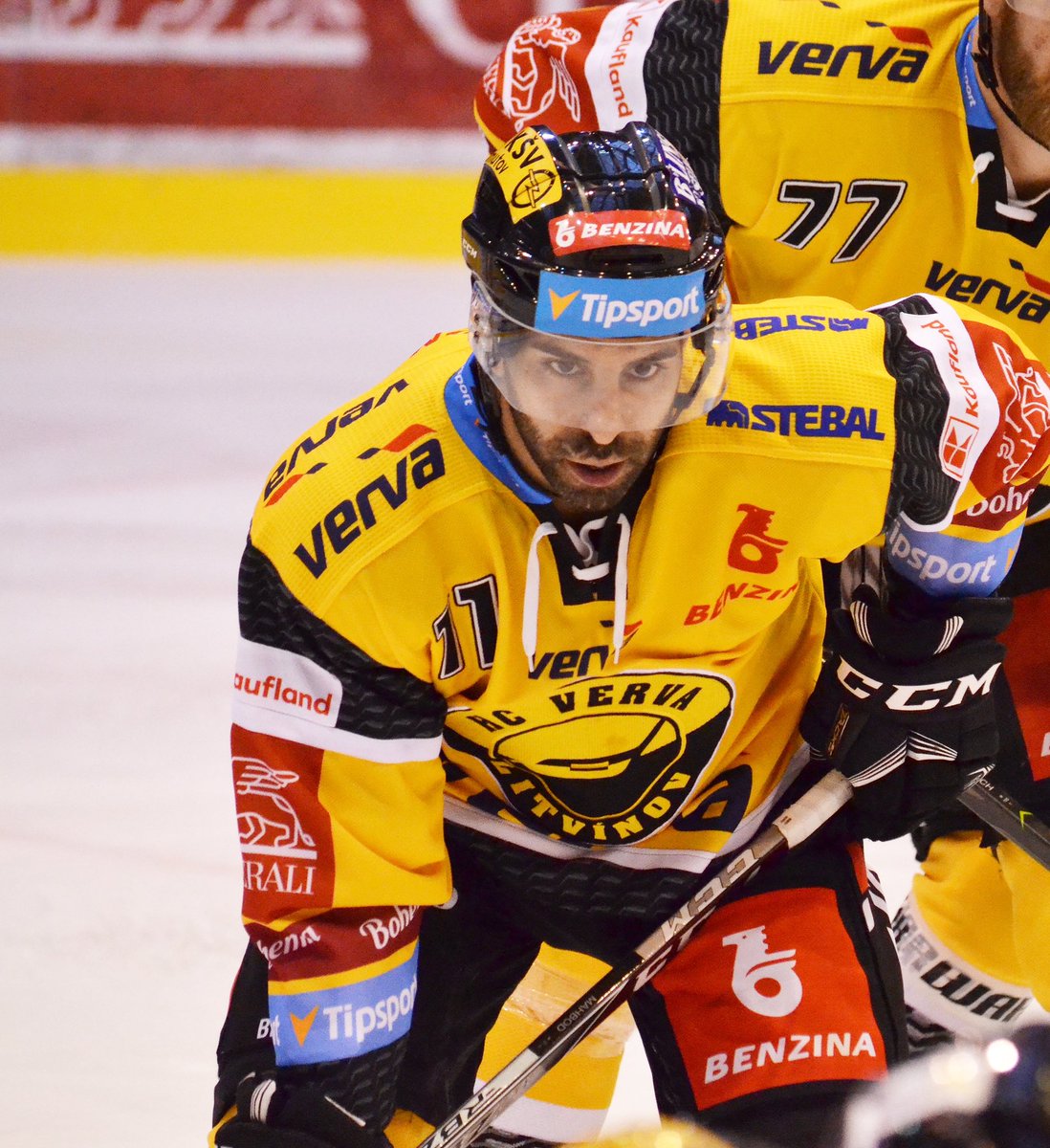 SamsonMahbod's tweet image. A little late... HC Litvinov 
#litvinov #hcvervalitvinov