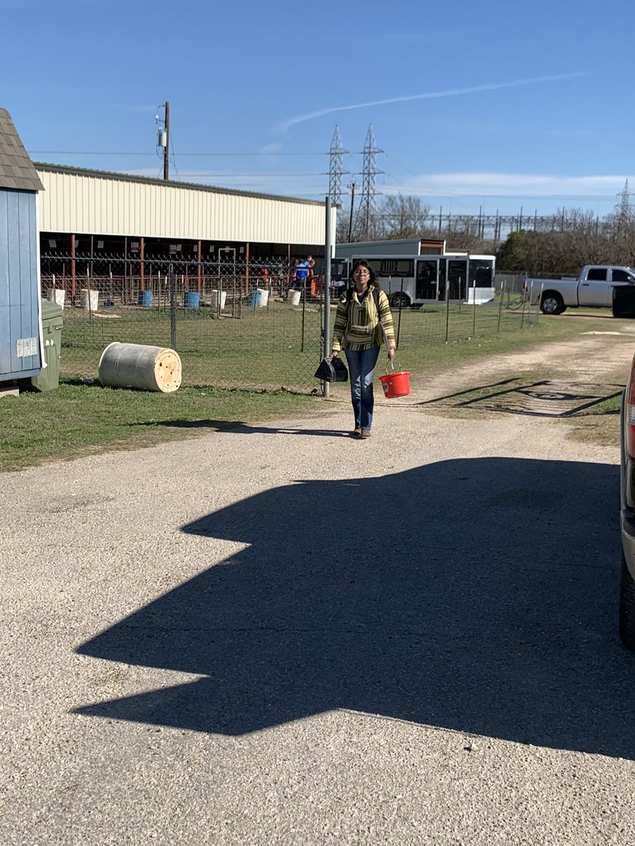 @georgetownffa & @evhsffa  pugs are loaded and ready to head to the Williamson County Livestock show! @EastViewHS @GeorgetownHS @GeorgetownISD @GISD_CTE #weareGISD