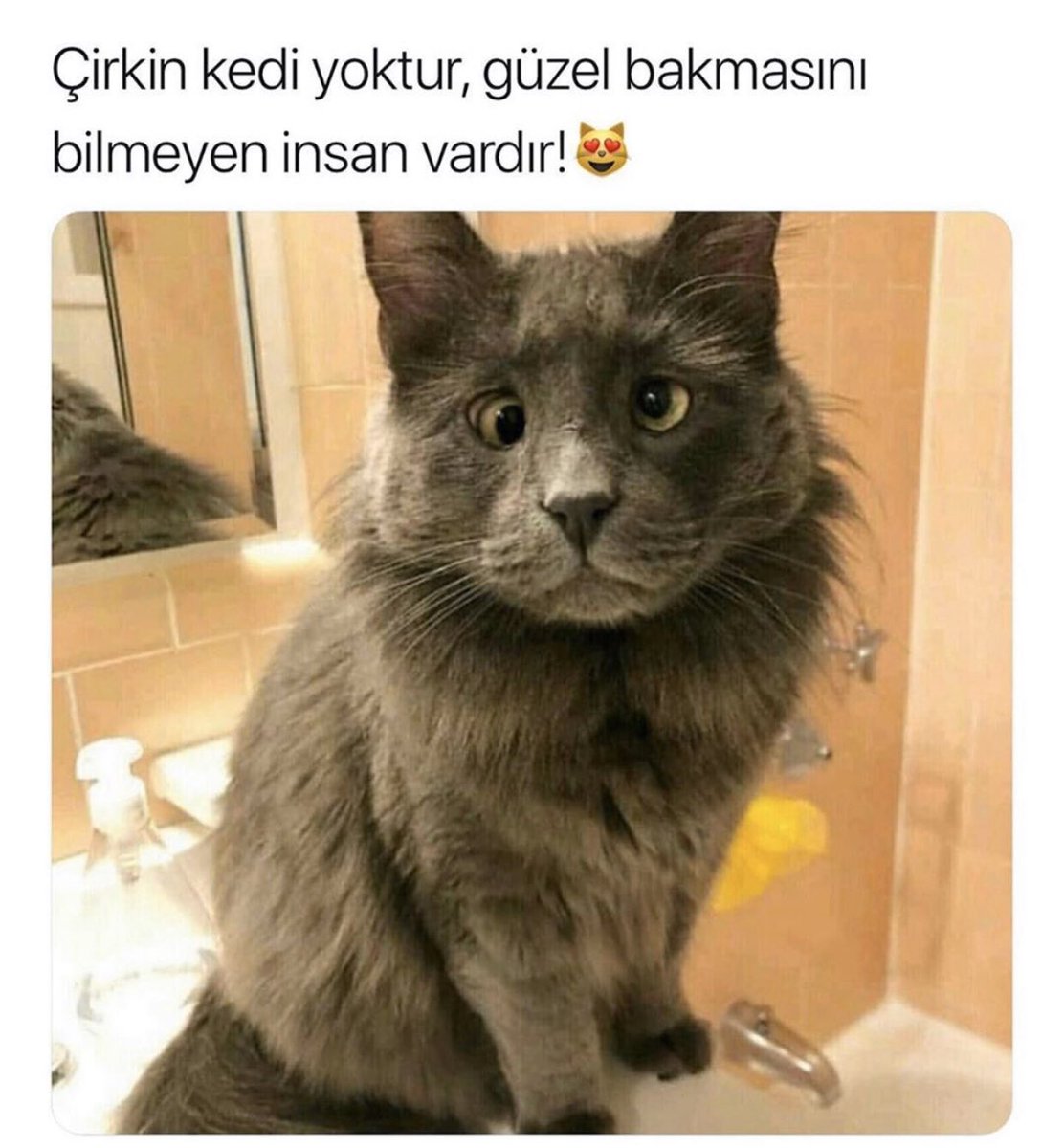 Selam Manisa’nın güzel insanları