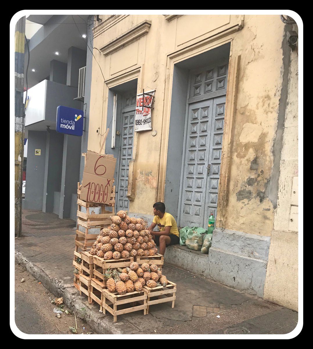 Exequielcontrer's tweet photo. Están baratas las piñas en Paraguay hoy. 6 unidades por $1.200 Pesos Chilenos (10.000 Guaraníes).
Bello país Paraguay y Bella su gente.

#emprender #liderazgo #felicidad #paraguay https://t.co/QUiHbhWnFk