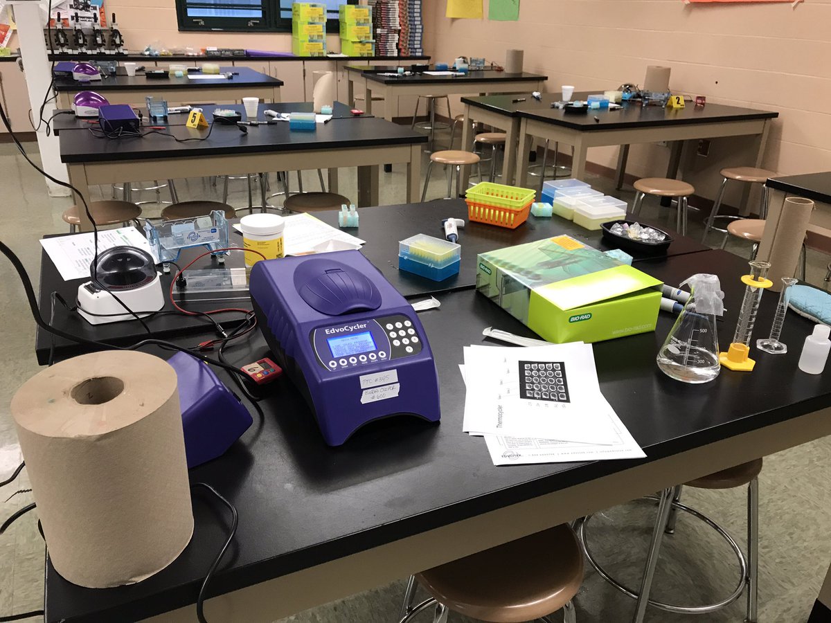 colemanbio414's tweet image. This is what my lab tables have looked like for the last two weeks. I have a love hate relationship with the chaos:) The students straight up love it! @edvotek @BioRadEducation