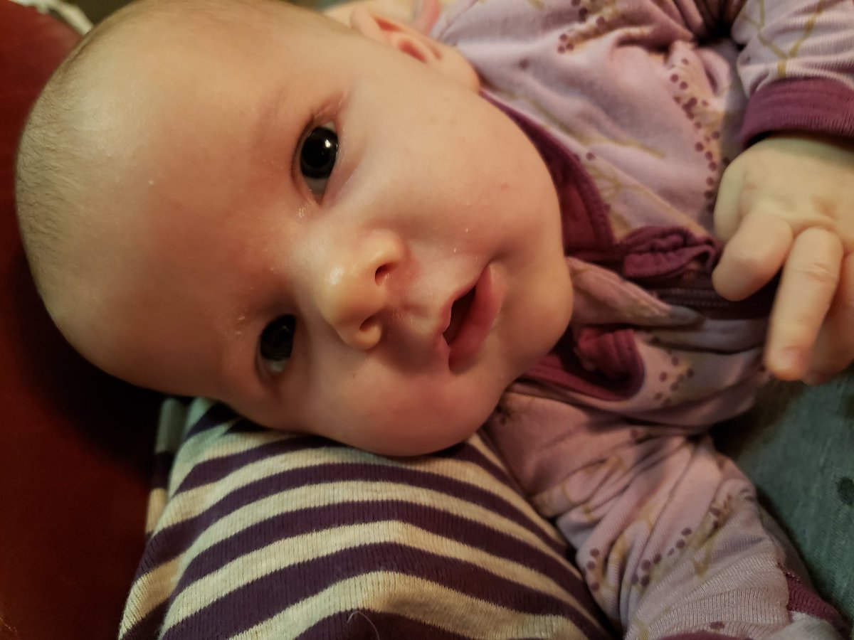 kclmarshall's tweet photo. 6 weeks old https://t.co/SILLZiQkZ5