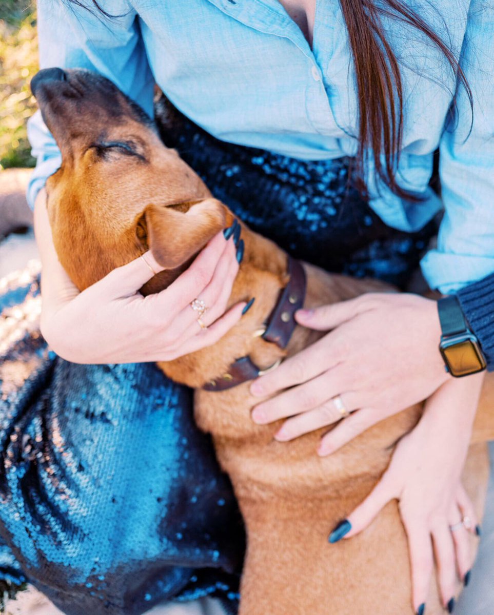 esther_koop's tweet image. ✨Koop Baby coming June 2020! ✨
We are beyond grateful to welcome a new life into our family!  This baby has already been such a blessing to us and will continue to be 🙏🏻 Darien and I cannot wait to be parents!