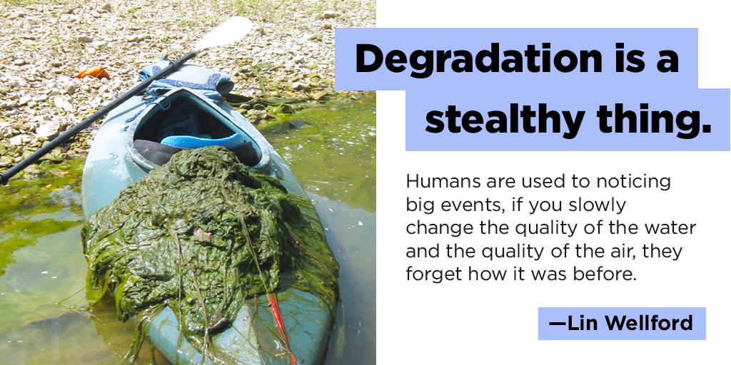 righttoharm's tweet photo. We can’t sit around while #BigAg #CAFOs destroy the waters from which we drink, fish and swim. Act NOW with #RightToHarm and learn how farmers are fighting back: https://t.co/wNWIVVv3h3 https://t.co/gGFeQlS4TI