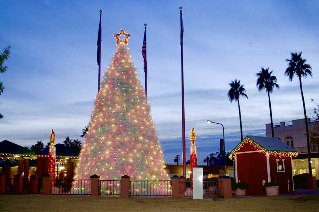visitchandleraz's tweet photo. Celebrate the lighting of the ONLY #tumbleweedtree in the Southwest this Saturday here in #ChandlerAZ https://t.co/fqsquqS2Tu https://t.co/J18Uev6m2w