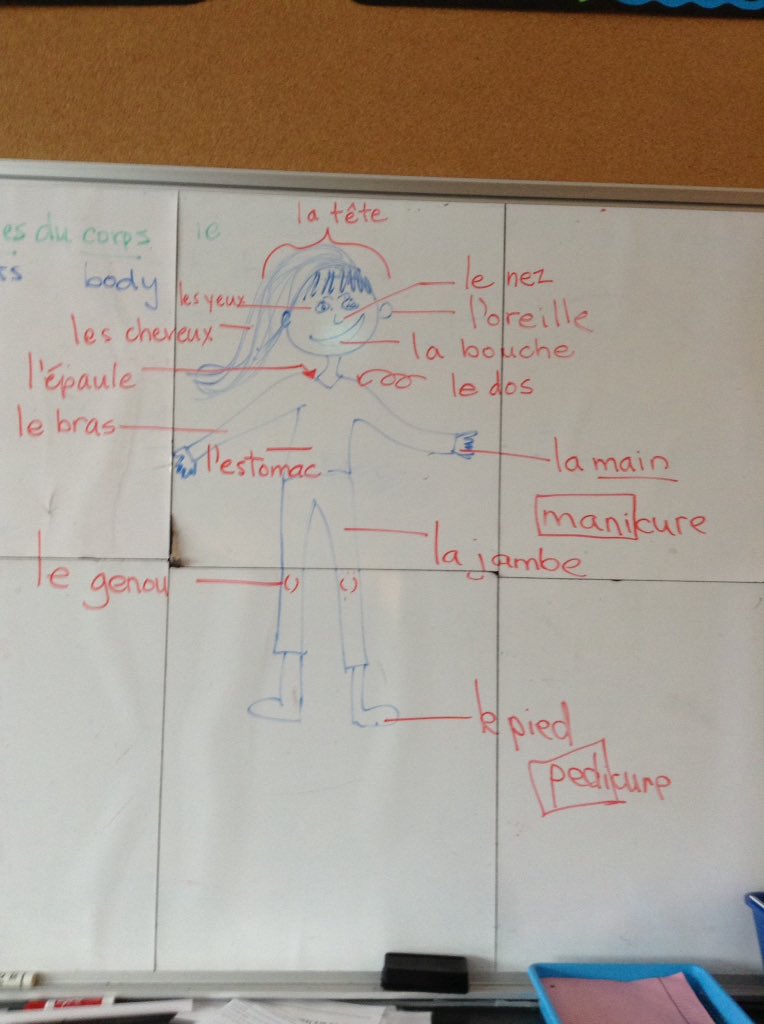 Whitehorn4B on Twitter "Today we learned the body parts in French and