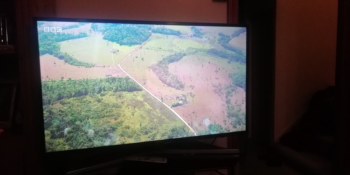 #MeatAThreatToOurPlanet the Amazon "looks just like the British countryside" Really? Where the hell does she live? 🙅