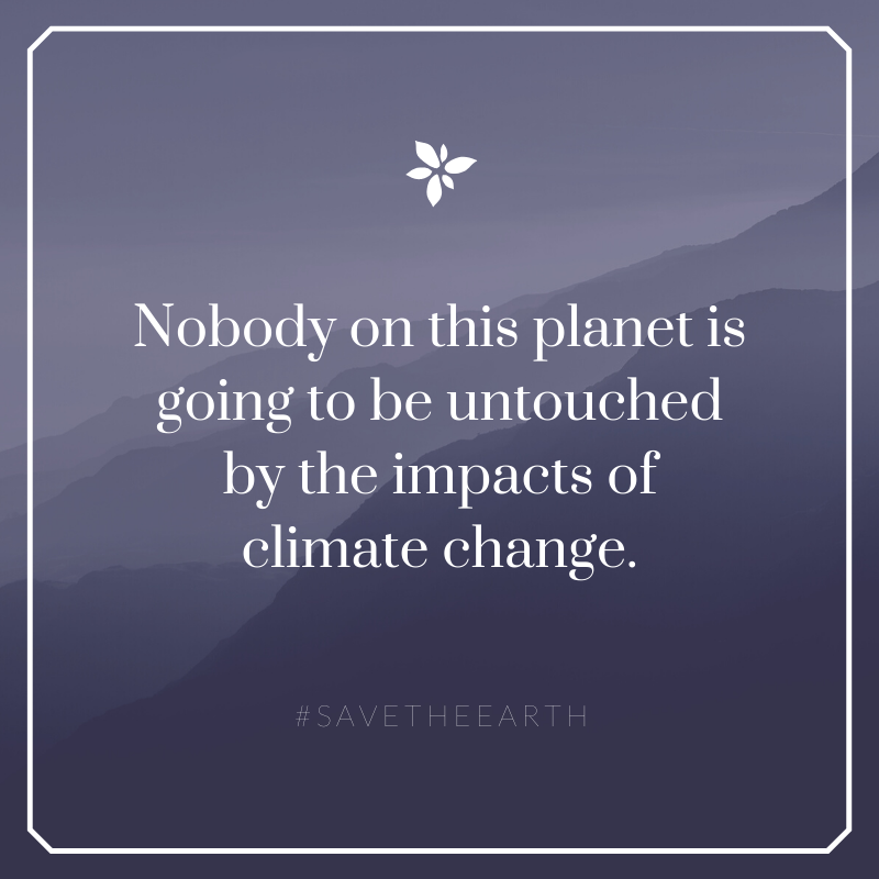 Bar_Maids's tweet photo. Working on making our impact less and less.

#ecoluscious #smallbatchskincare #lolobar #smallbusiness #ecolusciousmoisturizers #womenownedbusiness #NaturalBeautyproducts #Ecobeauty #ecolusciousfacecream #sustainableliving #ecoliving #ourplanetourhome https://t.co/3AEj35KTsN