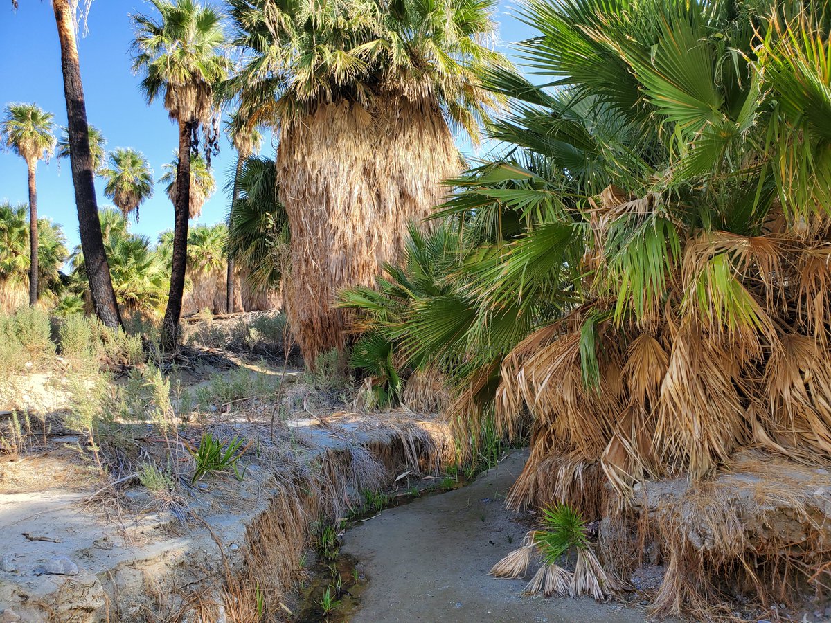 Metate Ranch near Indio. If you're looking for canyons, palms, creeks or Indian huts, this is your location! #filmfriendly #canyons #District4
