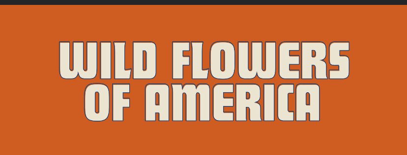 Ricky Hell and the Voidboys w/ Wildflowers Of America and DJ’s LtTD and Dan Reed’ Thursday Night <a href="/dawsonstreetpub/">Dawson Street Pub</a> <a href="/WXPNDanReed/">Dan Reed</a> <a href="/RickyHell/">Ricardo Nakamura</a> @WildFlowersofAmerica facebook.com/events/4275350…