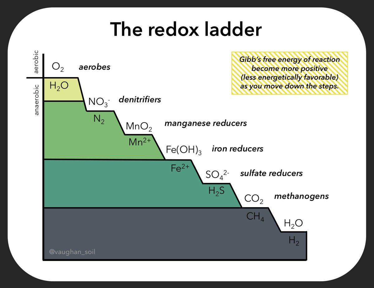 vaughan_soil's tweet photo. The redox ladder is a concept that explains oxidation-reduction (or redox) couples along a stair-case (or ladder) with the most energetically favorable reaction at the top and least at the bottom. https://t.co/iXSJYt2vZD