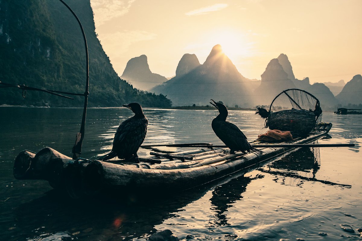 Bien Voyager tweet media