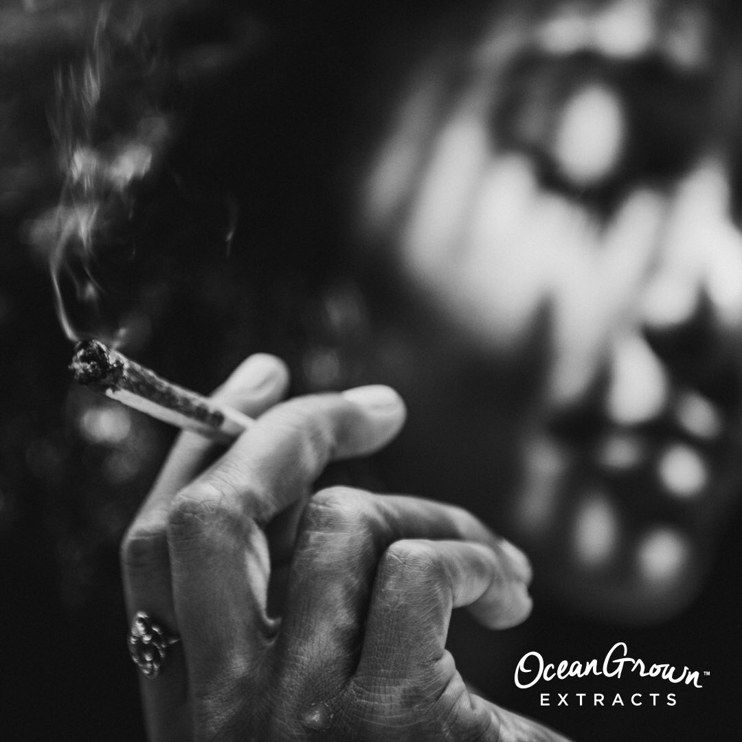 OGextracts's tweet image. #OGE premium indoor flower, cultivated with care and rolled to perfection. Ready when you are…⁣

#OceanGrownExtracts #California #CannabisYouCanTrust #TopShelf #Flower #Indica #Hybrid #Sativa #Cannabis #PreRolls #Smoke #THC #Herb #GrownWithLove #CannabisCommunity