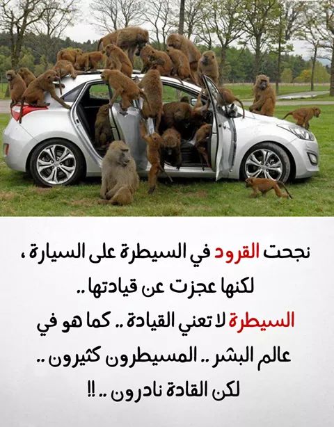 Mouloud Chamma On Twitter إذا وسد الأمر لغير أهله فانتظر الساعة