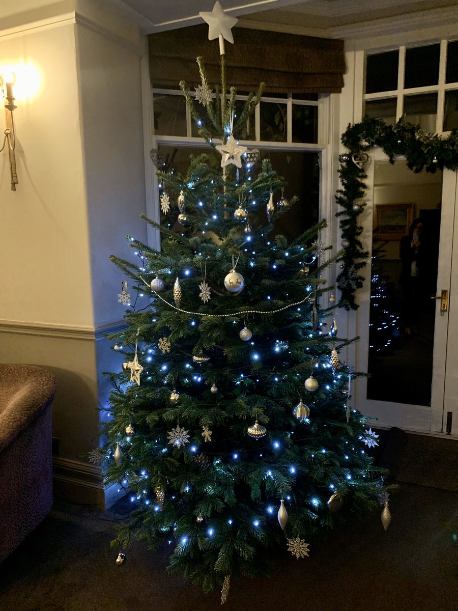 ✨CHRISTMAS TREES✨We love our trees being up, it’s feeling so much Christmassy in the lounge and restaurant 🎄🎄 We can’t wait for everyone to enjoy our decorations and magical atmosphere ✨ Christmas at @theryebeck  #ChristmasTrees #Beautiful #Lights #Sparkle