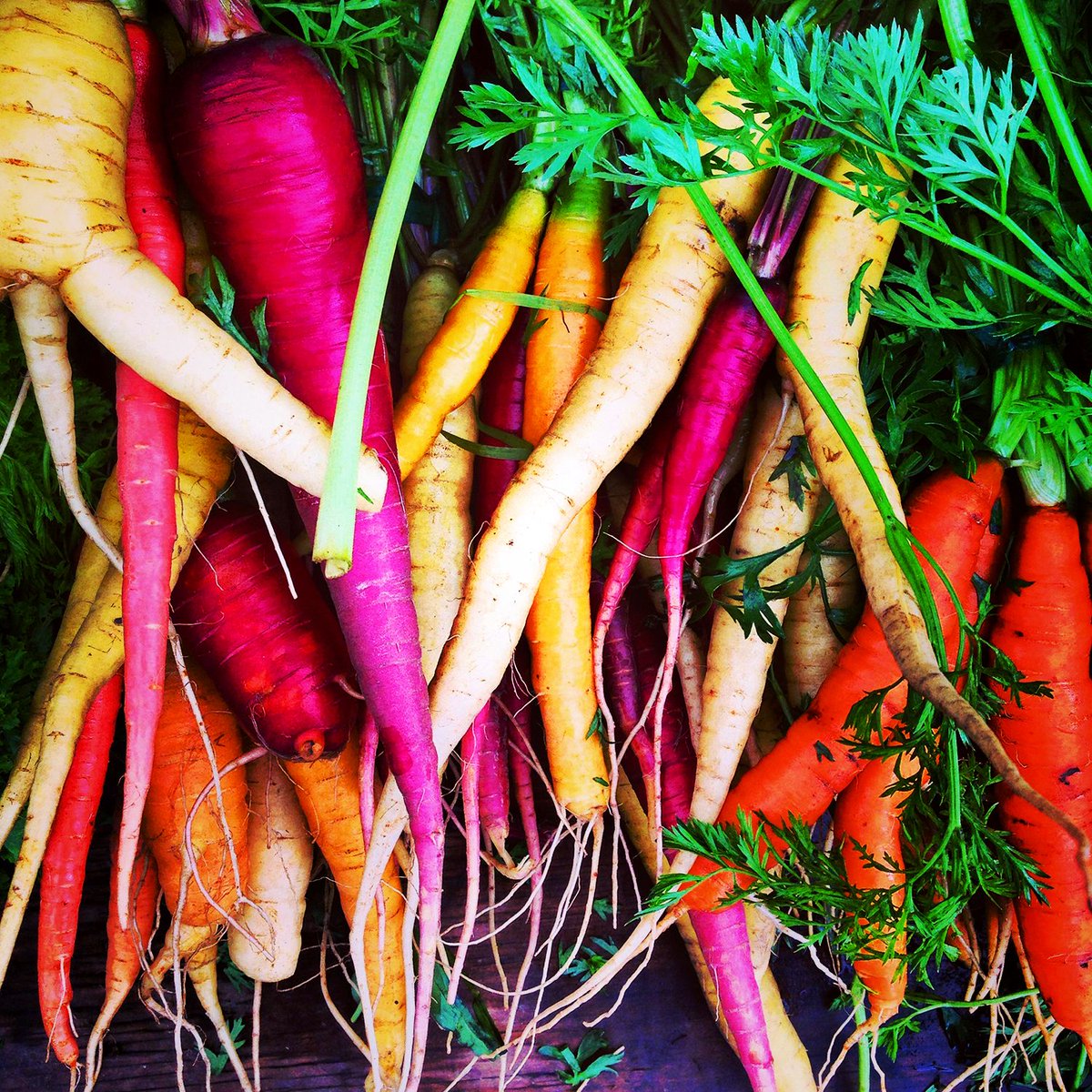 FAO Knowledge (@faoknowledge) on Twitter photo #Biodiversity is essential for ecosystem health, sustainable food production and resilient livelihoods.
.<a href="/FAO/">Food and Agriculture Organization</a>’s work on biodiversity for food and agriculture 👉 buff.ly/34ABThD
#COP25 #Biodiversity is essential for ecosystem health, sustainable food production and resilient livelihoods.
.<a href="/FAO/">Food and Agriculture Organization</a>’s work on biodiversity for food and agriculture 👉 buff.ly/34ABThD
#COP25
