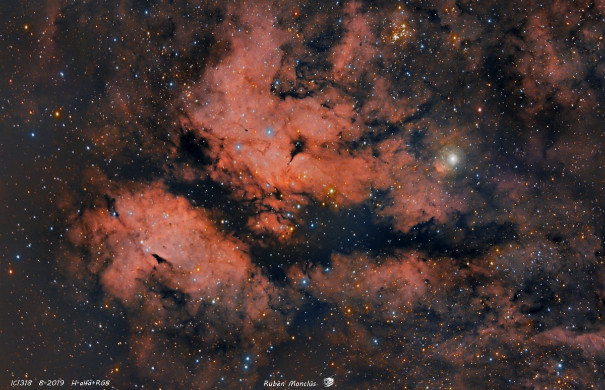 Nebulosa IC1318 (RGB+H-alfa) pel nostre company <a href="/rubenmonclus/">Rubèn Monclús</a> 

astrolleida.cat/2019/12/nebulo…

#astrofotografia #IC1318