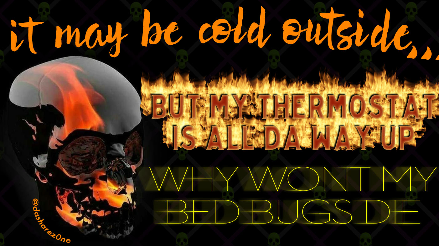 FUCK BED BUGS - https://t.co/Qtp3PuUDXE ADMIN