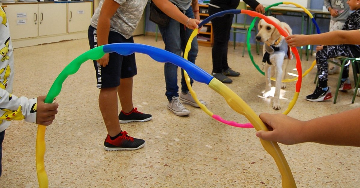 CeniacIAA's tweet photo. ¡Aprender juntos es más divertido!
🐾🐾🐾🐾
Aprendre junts és més divertit!
#InstitutEscoladelPrat @ajelprat
#intervencionasistidaconanimales #educacionasistidaconperros #escola #Escuela #ceniac #infancia #Respeto #respecte #empatia https://t.co/VQpCu53sVa