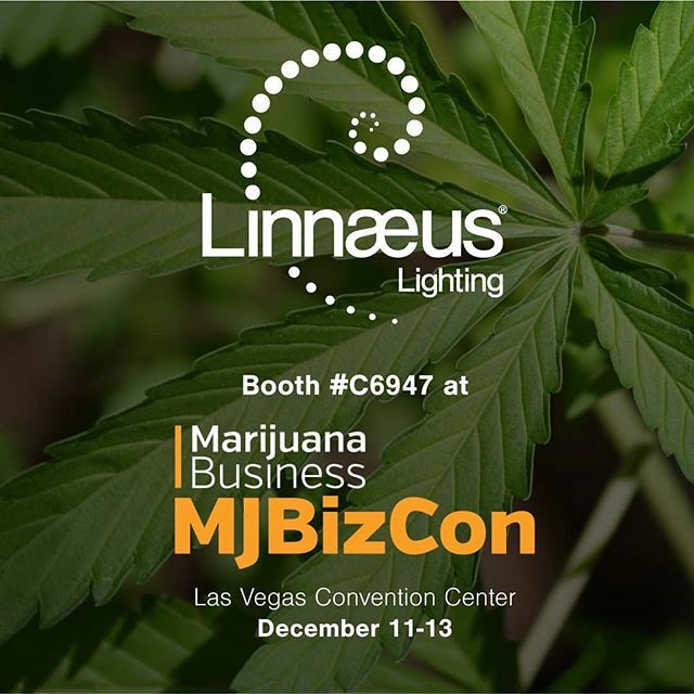 linnaeuslight's tweet photo. It’s already December which means that MJBizCon in Las Vegas is right around the corner! We are setting up at Booth #C6947 from December 11th to 13th to display our latest innovative products.  We hope to see you there! 
#mjbizcon #lasvegas #cannabis #he… https://t.co/WPFZMmu47i https://t.co/3CyeIJU00W
