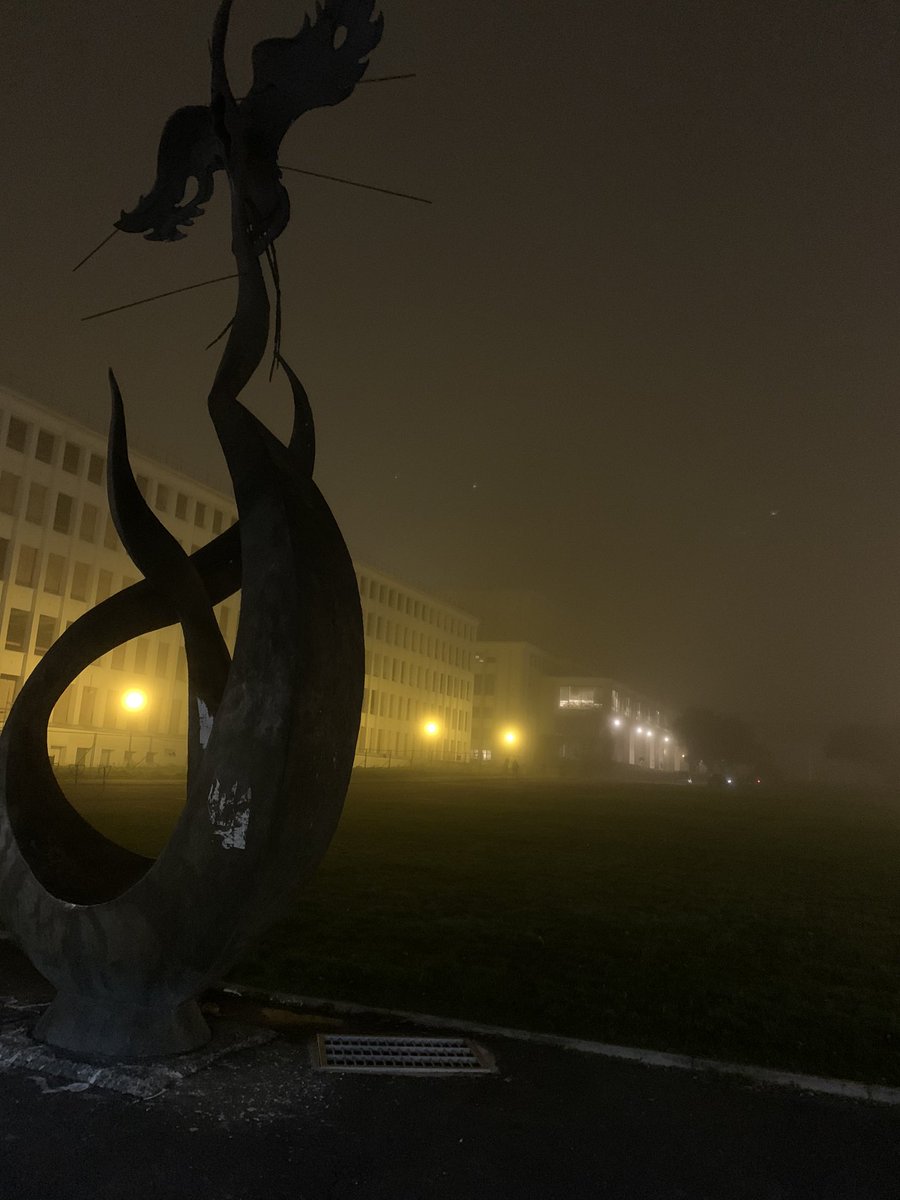 Pierre DENISE tweet media