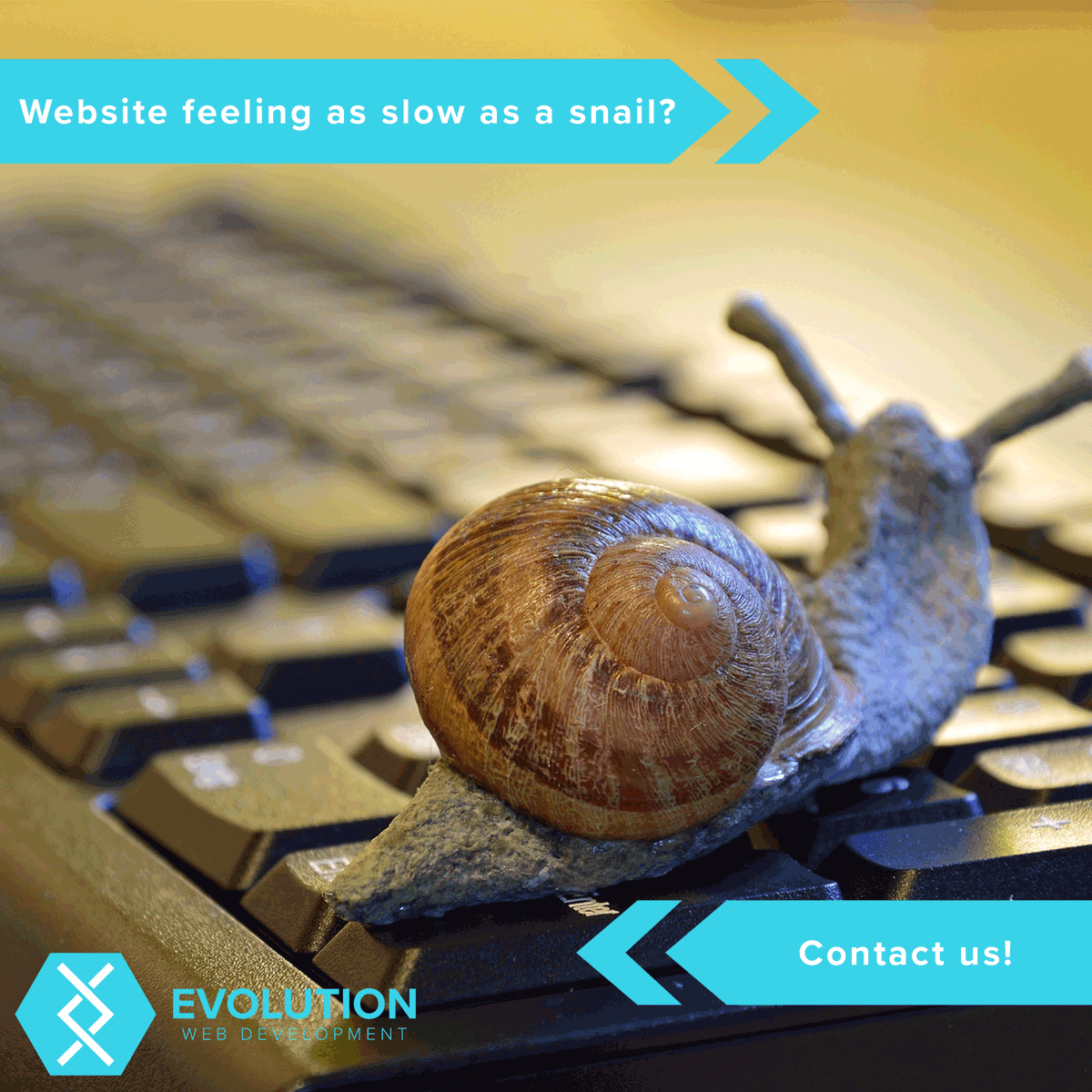 Has your website been optimised for all devices? Is there anything slowing it down? If you don't think your website is running as fast as it could be, contact us!

#evowebdev #webdev #islandbusiness #isleofwight #website #contactus #wordpress #html  #optimise #webdesign #web
