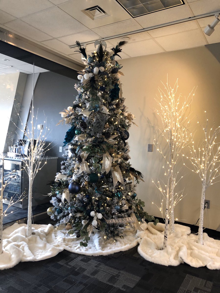 NorrisLakeVaca's tweet photo. Had a great day today! Holiday decorating at its best! Some dread it but I ❤️ it! #coveredinglitter https://t.co/JXlJqSfIeT