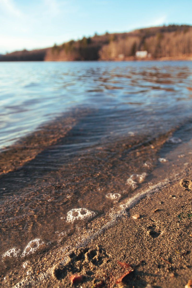 ThisIsVT tweet media