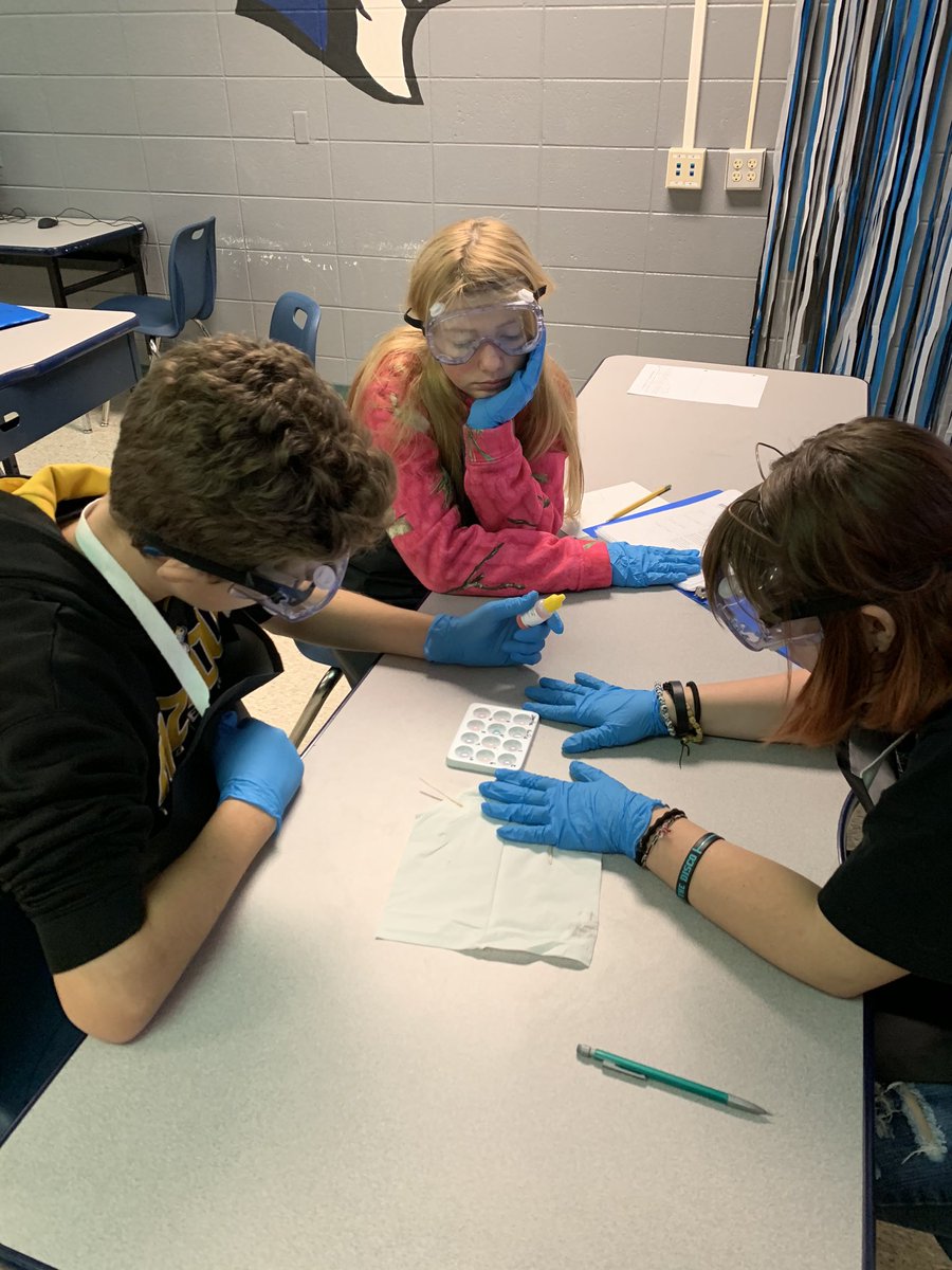 Lisa Messick tweet media