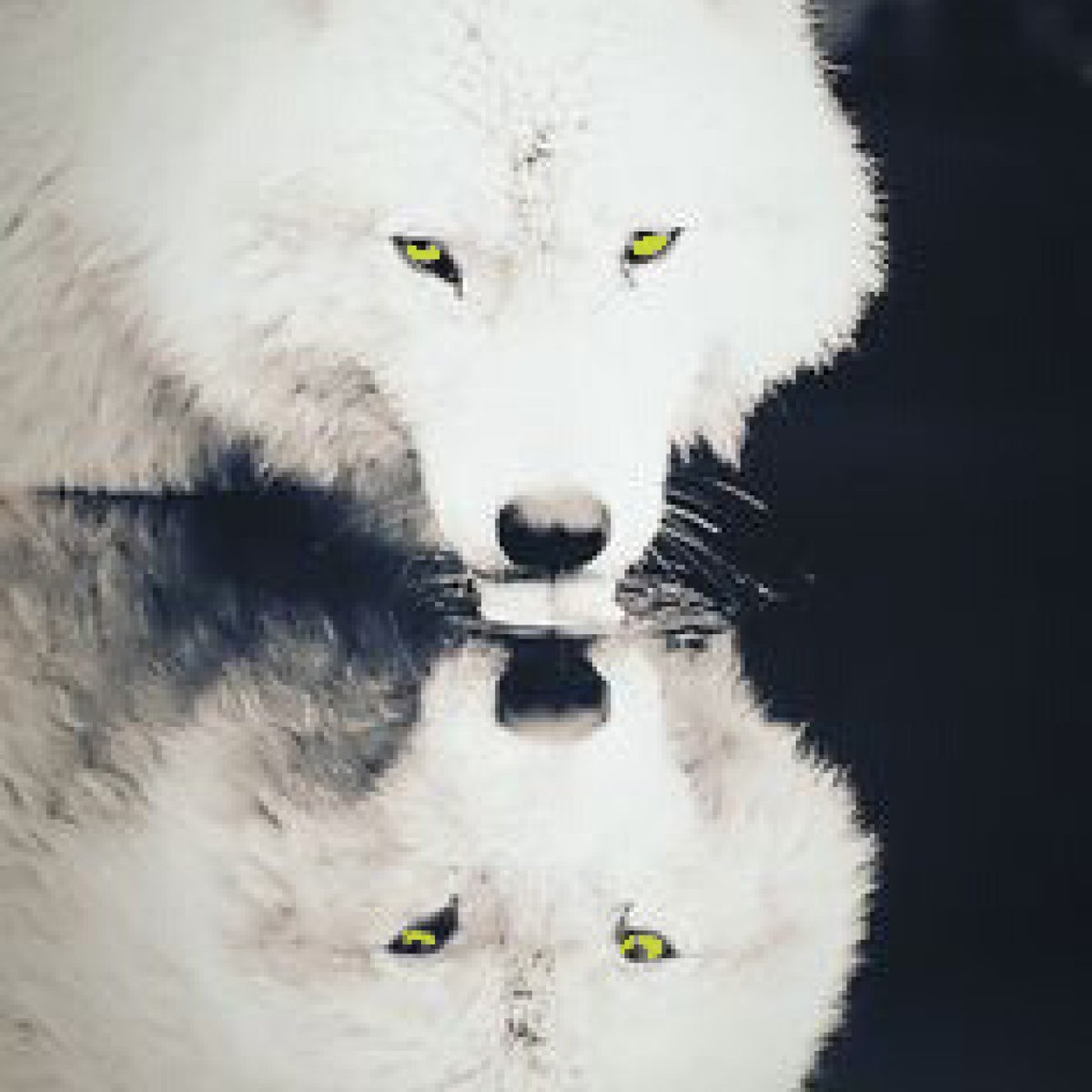 Leave the pain behind and let your life be your own again. There is a place where all time is now, and the choices are simple and always your own. Wolves have no kings. - Robin Hobb
