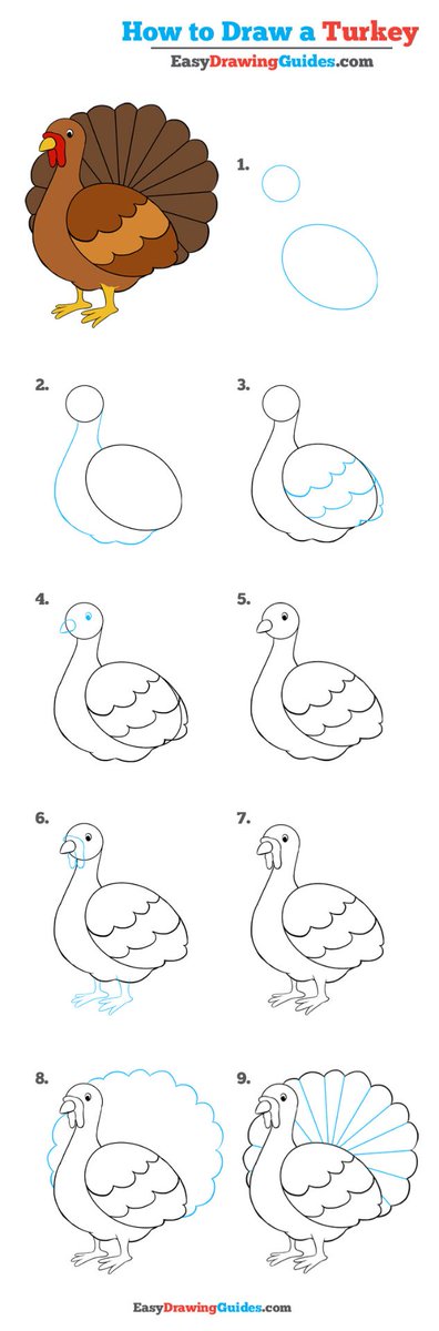 turkey simple drawing turkey simple drawing