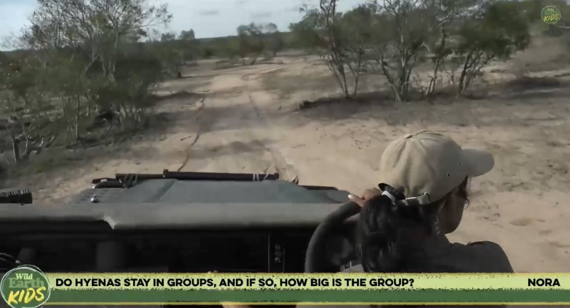 ehalbis's tweet image. My class tuned in to this live safari this week! So fun! #WildEarth #lifeready