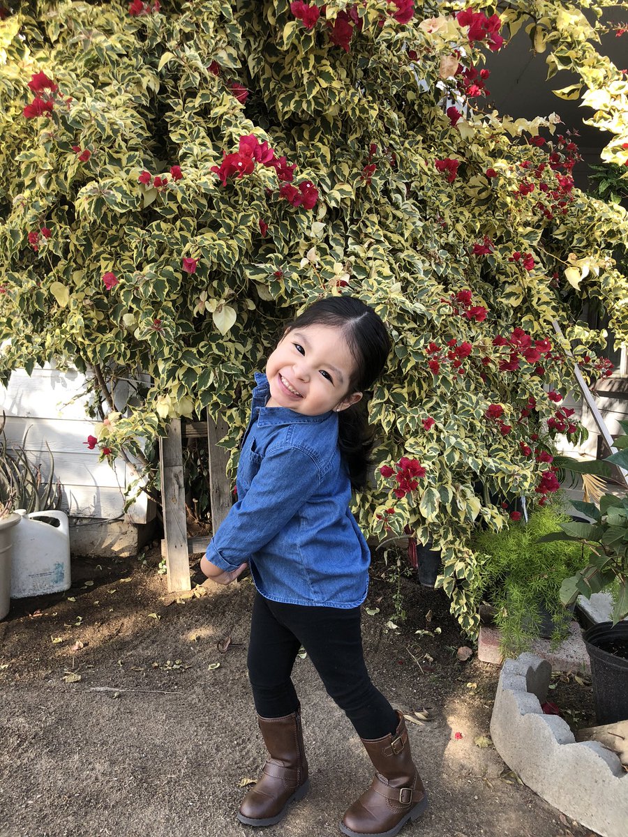 julieelimaa's tweet photo. my little model 🥺❤️ https://t.co/NErNw921Rg