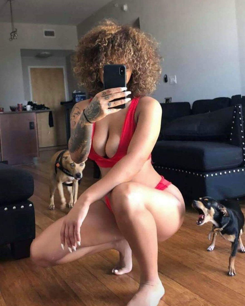 Proxe_neta's tweet image. - Lucho, no lo hagas!
- Cállate, Firulais! Solo le daré una mordida...