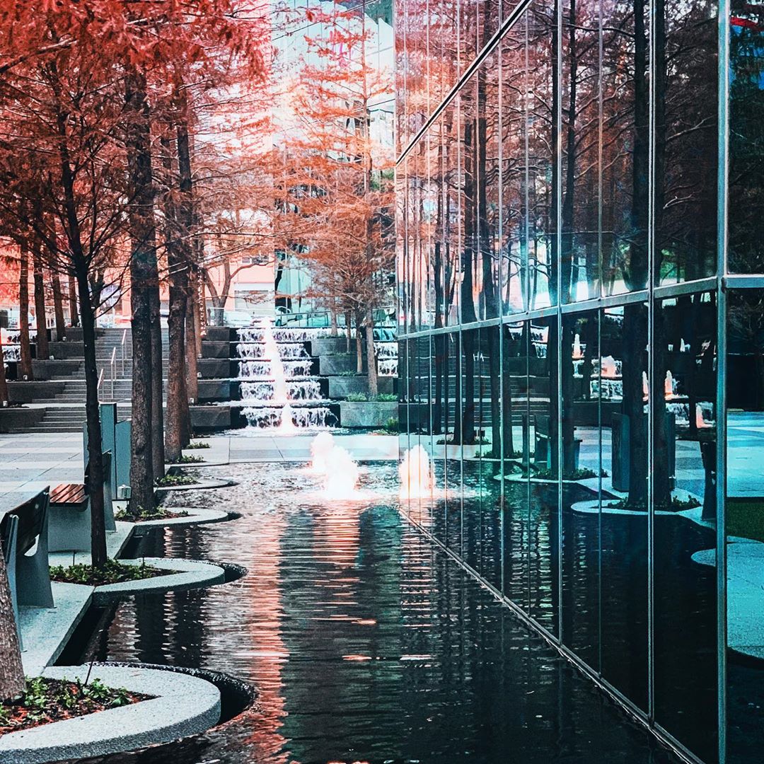 The leaves are changing, and we feel music in the air... 

#DowntownDallas #Dallas 
📷: @loriweitzelcreative