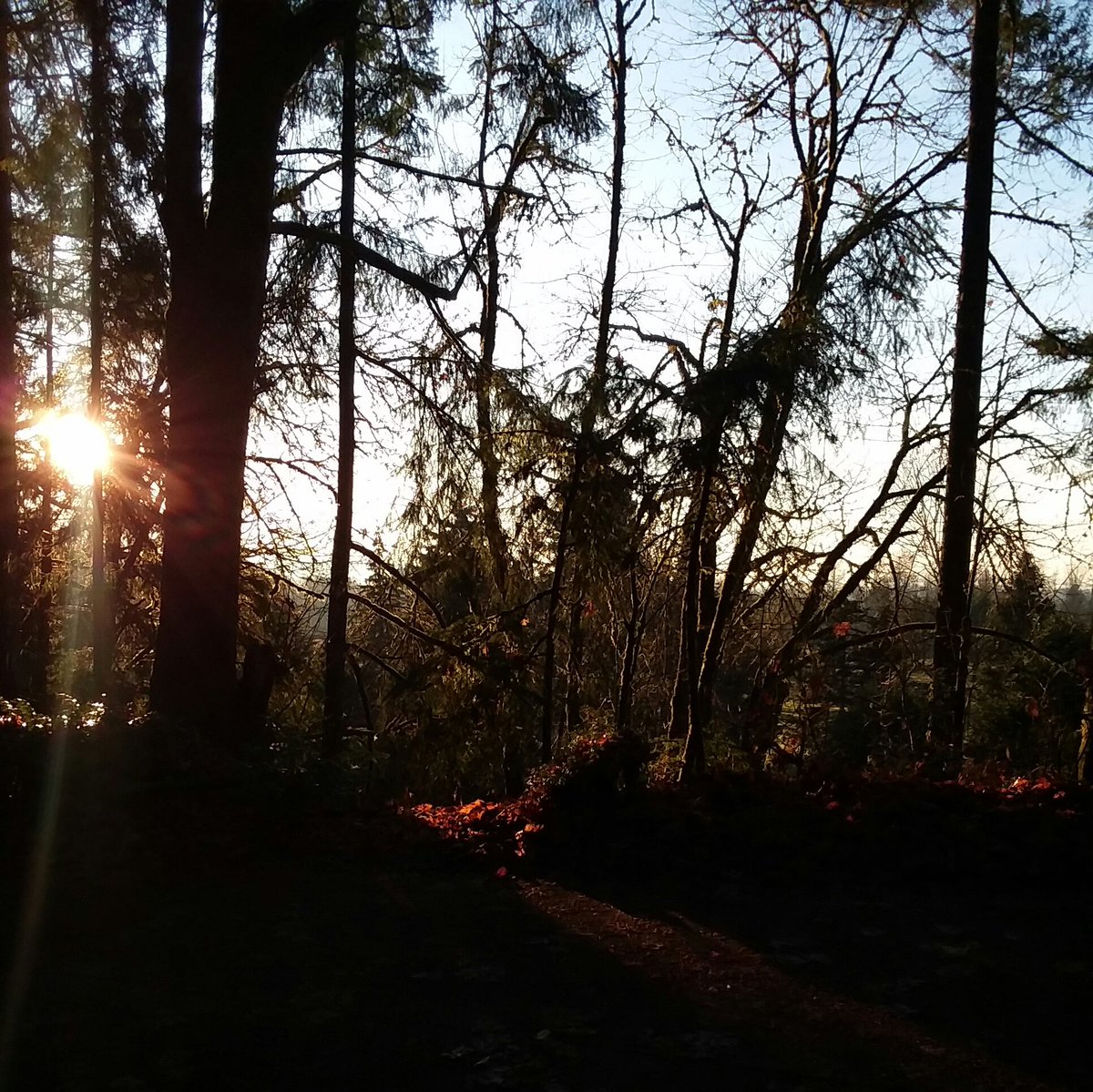 ElizabethOSP's tweet image. I walk out my studio door and... 😁