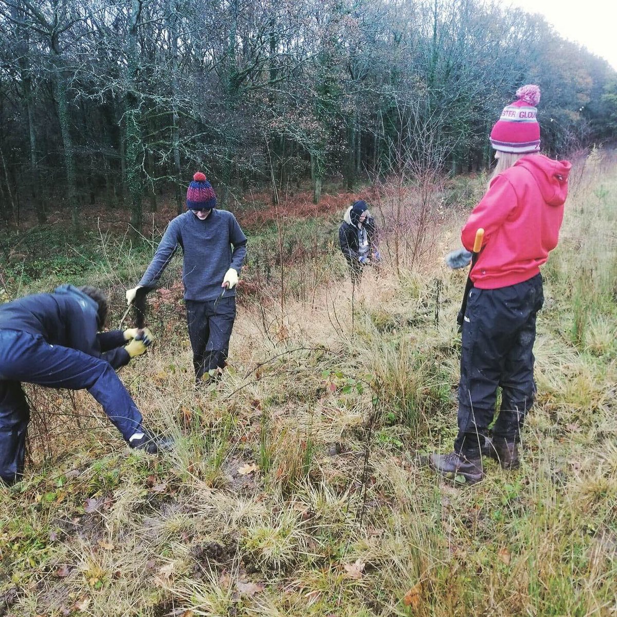 GC_OutdoorEd's tweet photo. #volunteering day today for our #outdoored students @Gloscol #cinderfordcampus .. they kept going in the #rain and cold to create a #happy #habitat for #butterflies with @ForestryEngland @ForestofDeanNet @DeanWyeNews @DeanWye @ForestryComm @Forest_of_Dean https://t.co/mIRZ9JFSXn